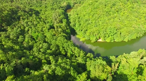 Aerial over small pond Stock Footage 64317731