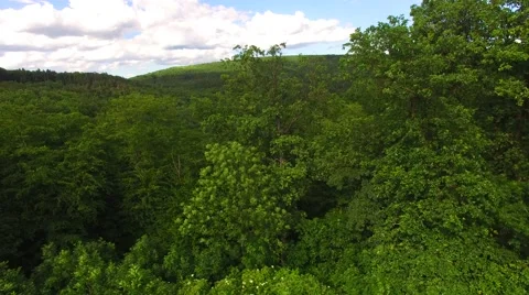 Aerial over small pond Stock Footage 64317992