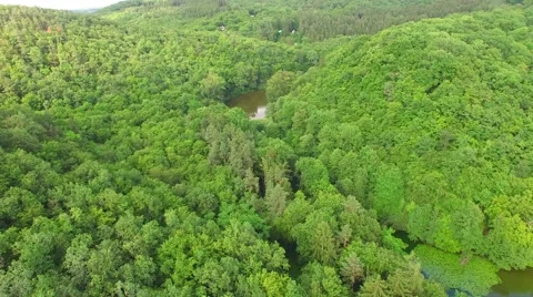 Aerial over small pond Stock Footage 64318081