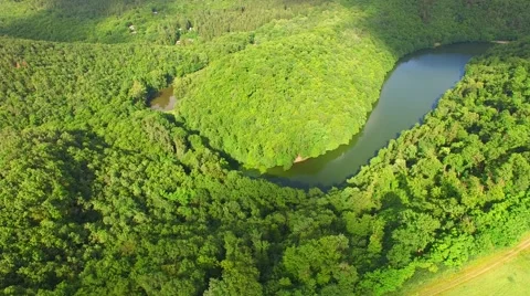Aerial over small pond Stock Footage 64318241