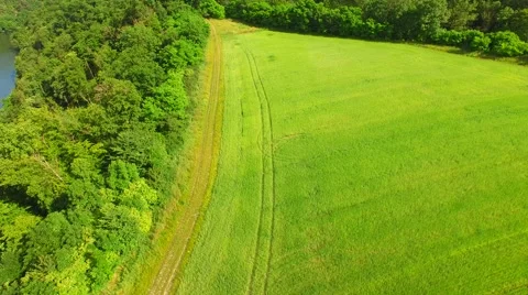 Aerial over small pond Stock Footage 64318650