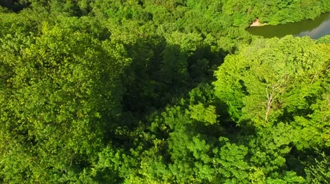 Aerial over small pond Stock Footage 64319137