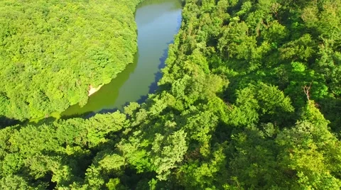 Aerial over small pond Stock Footage 64319785