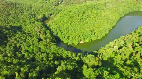 Aerial over small pond Stock Footage 64319926
