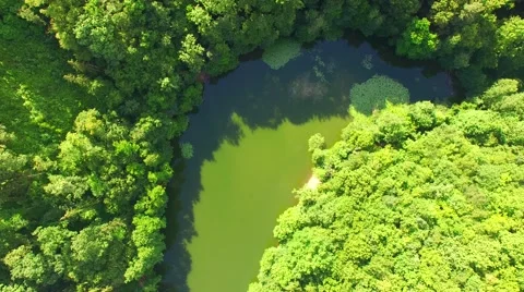 Aerial over small pond Stock Footage 64319942