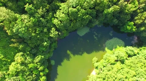 Aerial over small pond Stock Footage 64320145