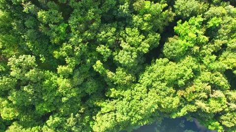 Aerial over small pond Stock Footage 64320244
