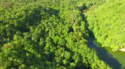 Aerial over small pond Stock Footage 64320348