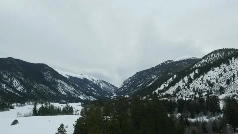 Aerial over snowy pine tree forest in mountains of Dillon, Colorado in winter Stock Footage 221535863