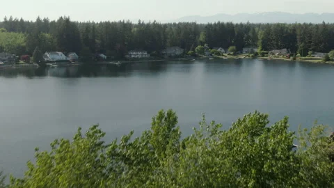 Aerial over tree tops and lake Stock Footage 154653530