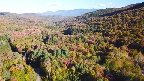 Aerial over vast forests of fall foliage and color in Vermont or New England. Видео 83312520