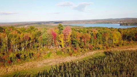 Aerial over vast forests of fall foliage and color in Maine or New England. Stock-Footage 83312571