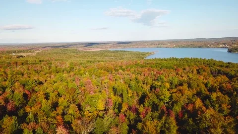 Aerial over vast forests of fall foliage and color in Maine or New England. Stock-Footage 83312607
