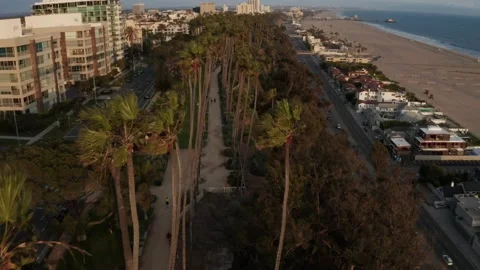 Aerial over walking path sidewalk in Santa Monica beach over palm trees Vidéo 145030384