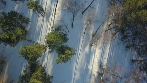 Aerial Over Winter Forest with Snow at Sunset Video stock 101875050