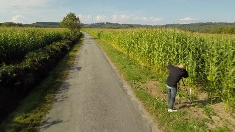 Aerial overflight of a cornfield Stock Footage 73702802
