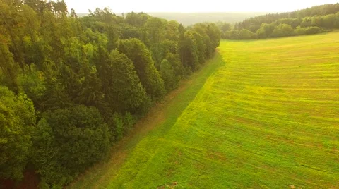 Aerial Overflight of a meadow Stock Footage 55076909