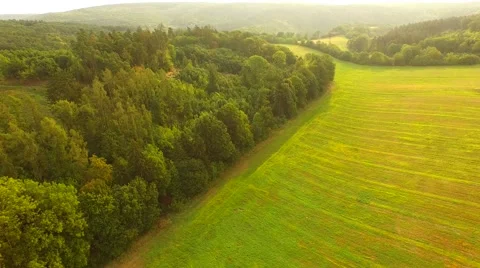 Aerial Overflight of a meadow Stock Footage 55077968