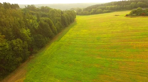 Aerial Overflight of a meadow Stock Footage 55078013