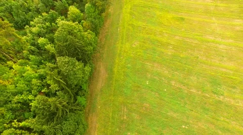 Aerial Overflight of a meadow Stock Footage 55078419