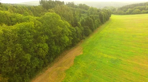 Aerial Overflight of a meadow Stock Footage 55079229
