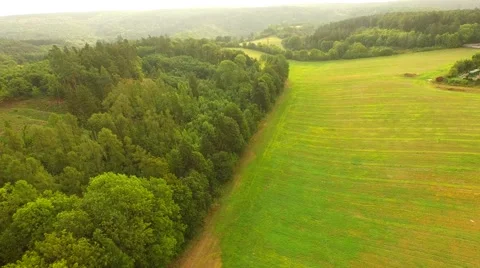 Aerial Overflight of a meadow Stock Footage 55079235