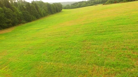 Aerial Overflight of a meadow Stock Footage 55079921