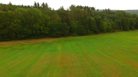Aerial Overflight of a meadow Stock Footage 55080077
