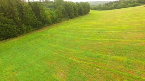 Aerial Overflight of a meadow Stock Footage 55080101