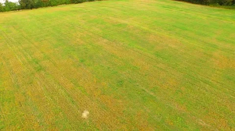 Aerial Overflight of a meadow Stock Footage 55080357