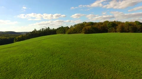 Aerial Overflight of a meadow Stock Footage 55263926