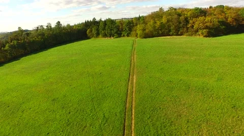 Aerial Overflight of a meadow Stock Footage 55264179