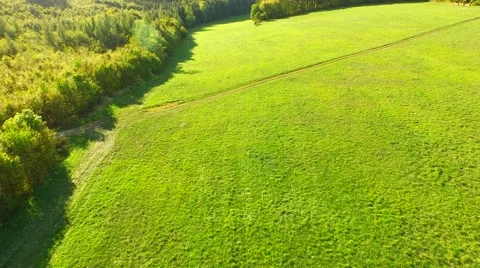 Aerial Overflight of a meadow Stock Footage 55264246