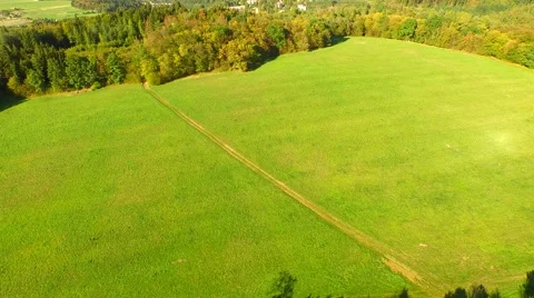 Aerial Overflight of a meadow Stock Footage 55264301