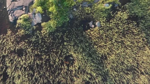 Aerial overfly of a skerry Stock Footage 134801335