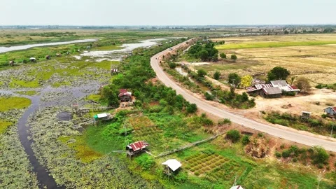 Aerial overhead view between agricultural rice field farmland and the Red Lotus 動画素材 335132192