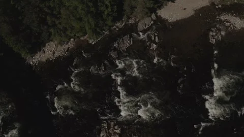 Aerial overhead view of Dee River and pine trees forest wild Scottish nature Stock Footage 251032479