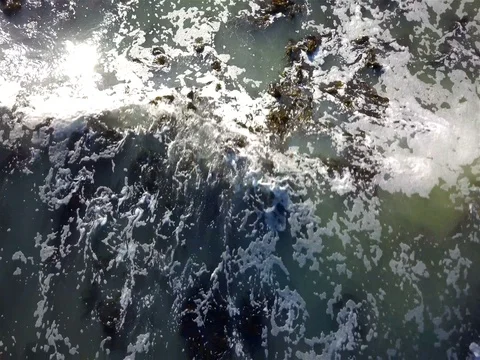 Aerial Overhead View of Kelp With Ocean Waves Video stock 80445980
