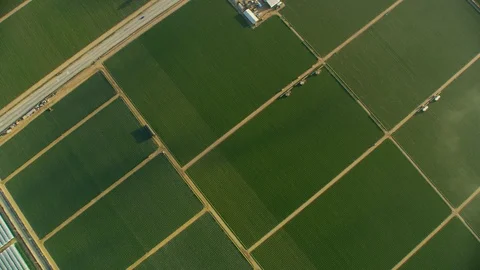 Aerial overhead view migrant workers harvesting crops California Video stock 91549604