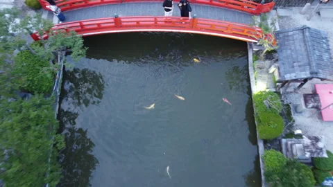 Aerial Overhead View of Red Bridge Over Koi Pond at Japanese Shrine in Kyoto Stock Footage 337745215