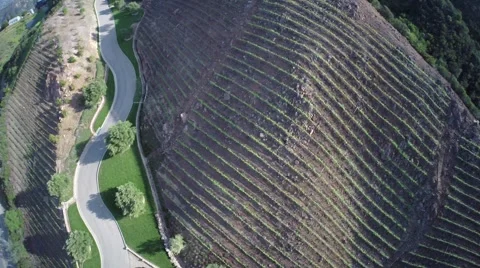Aerial overhead view of winery Video stock 50147083