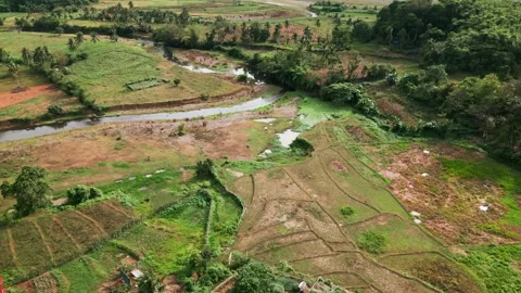 Aerial Overview of Creek and Patchwork Farmlands in Catanduanes, Philippines Stock Footage 347074085