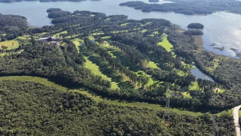 Aerial Overview of Lakeside Golf Course and Atlantic Forest Landscape Stock Footage 344589490