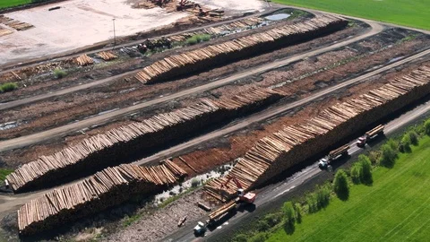 Aerial overview of log yard operations at a lumber mill Stock Footage 90951434
