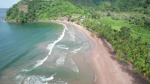 Aerial Overview of the Pristine Pui Pui Beach in Venezuela's Paria Peninsula Video stock 318955006