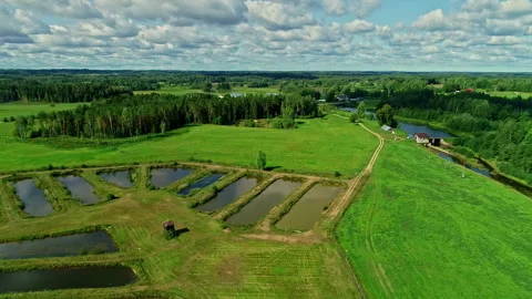 Aerial overview of rectangular carp ponds in open fields with grassy banks 스톡 동영상 291296442