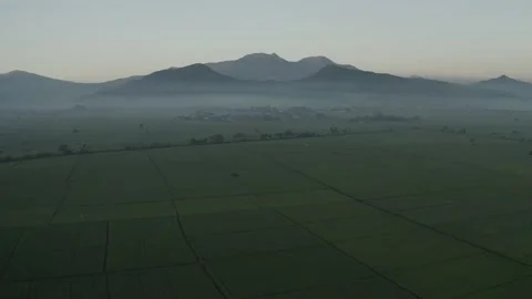 Aerial paddy field at West Java, Indonesia Stock Footage 203839962