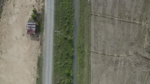 Aerial Paddy Fields forward drone shot Stock Footage 247397479
