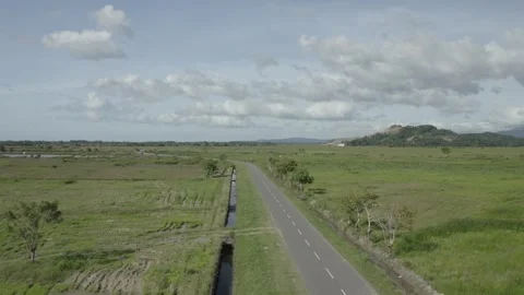 Aerial Paddy Fields forward drone shot Stock Footage 247399918