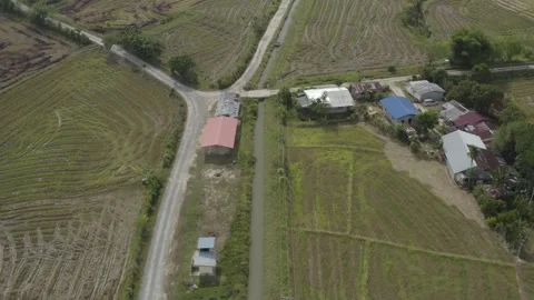Aerial Paddy Fields forward panning drone shot Stock Footage 247397524